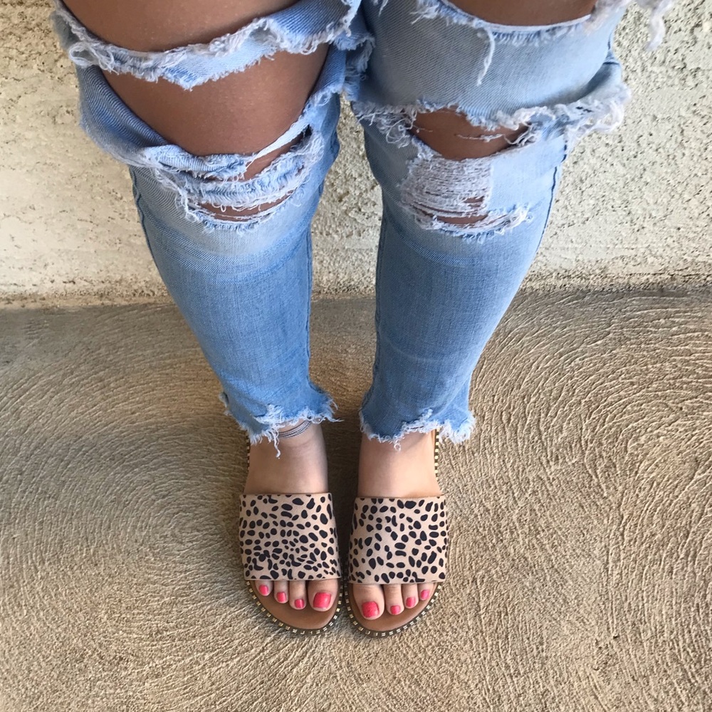 CHEETAH SLIDES - Picture 7 of 7